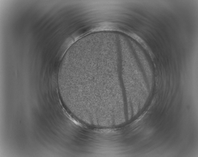 X0000063481337200602101756