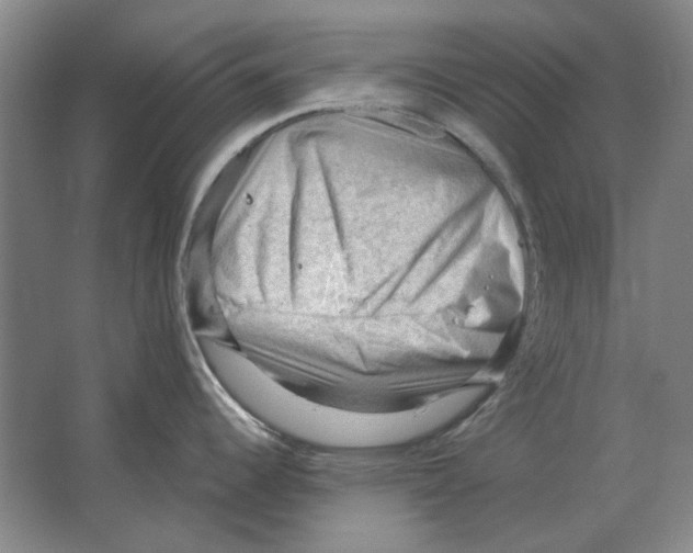 X0000063481344200602101756