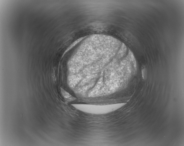 X0000063481347200602101756