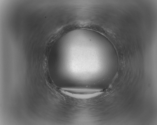 X0000063481349200602101756