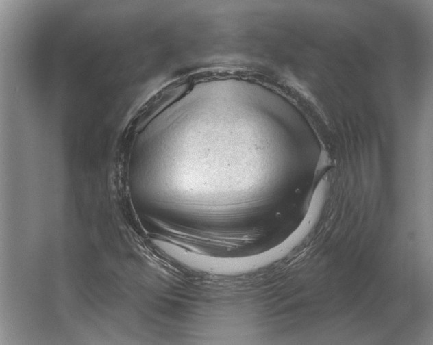 X0000063481352200602101756