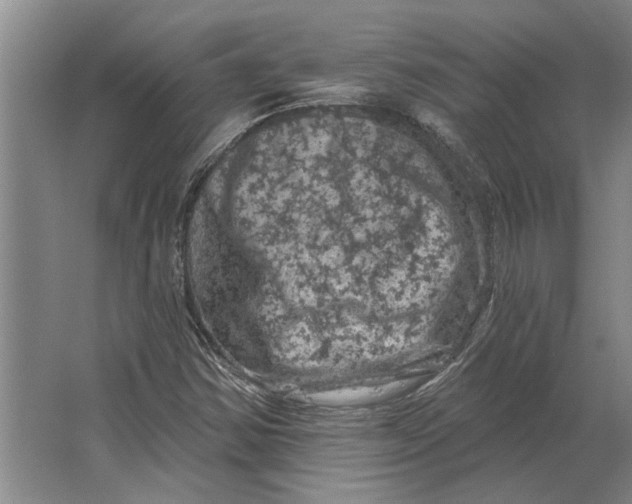X0000063481354200602101756