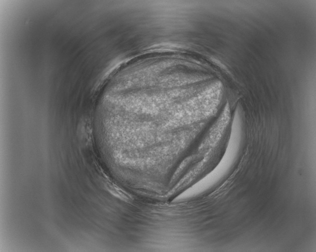 X0000063481355200602101755