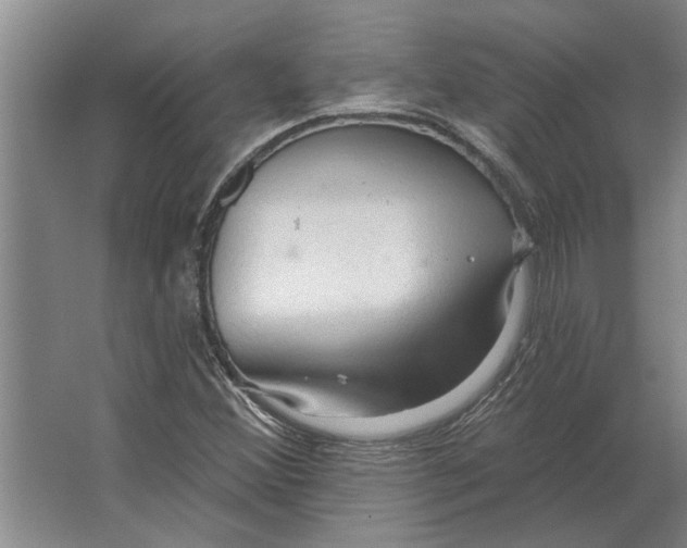 X0000063481356200602101755