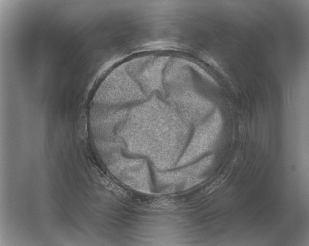 X0000063481358200602101755