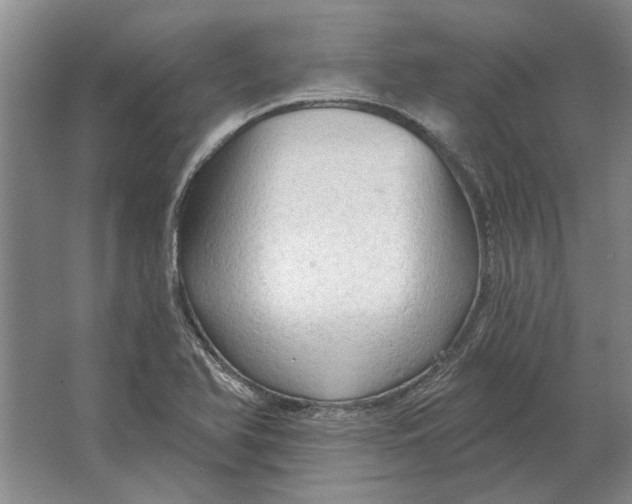X0000063481366200602101755