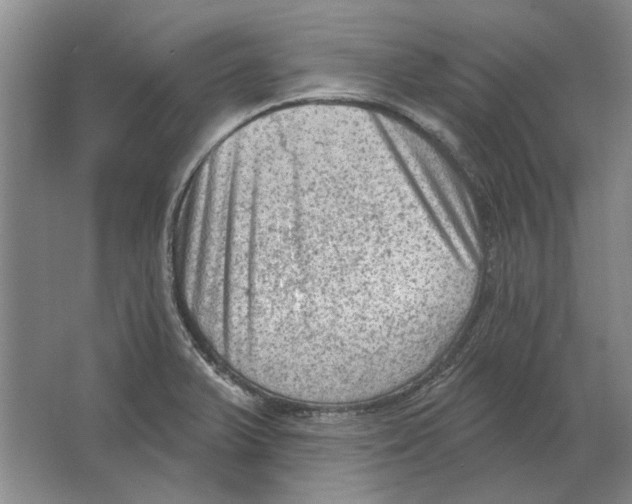 X0000063481375200602101755