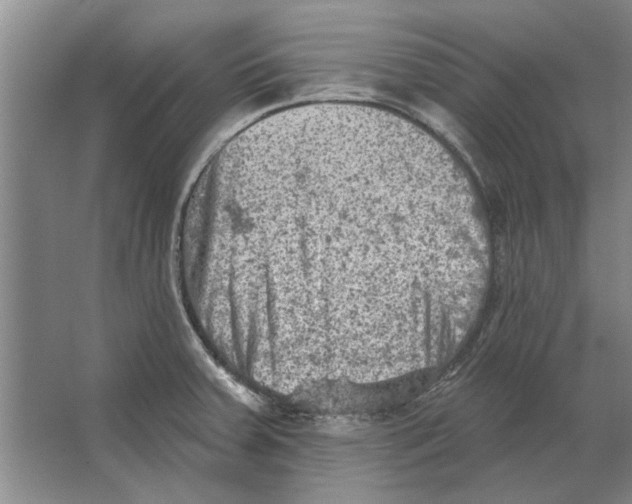 X0000063481379200602101755