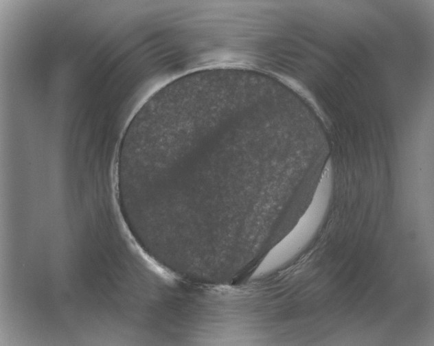 X0000063481383200602101755