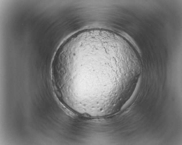 X0000063481388200602101755
