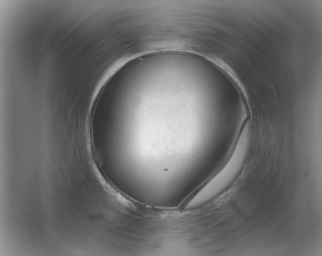 X0000063481389200602101755