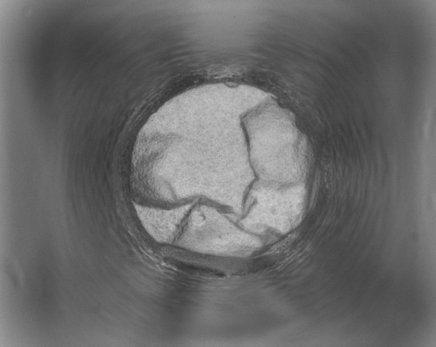 X0000063481393200602101754