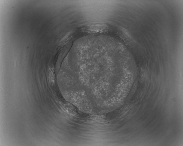 X0000063481394200602101754