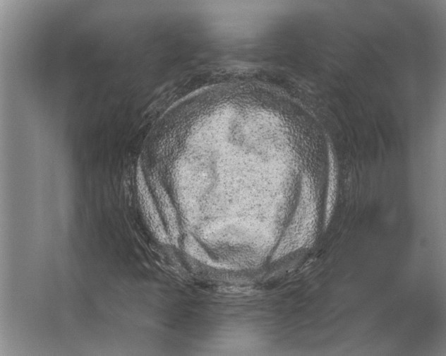 X0000063481397200602101754