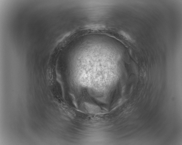 X0000063481398200602101754