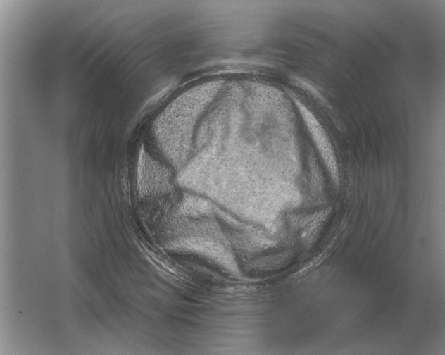 X0000063481403200602101754