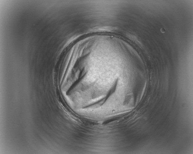 X0000063481404200602101754