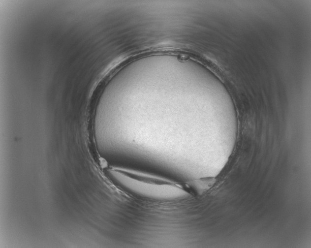 X0000063481410200602101754