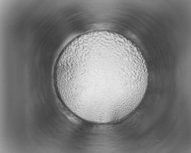 X0000063481427200602101755