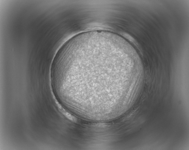 X0000063481431200602101755
