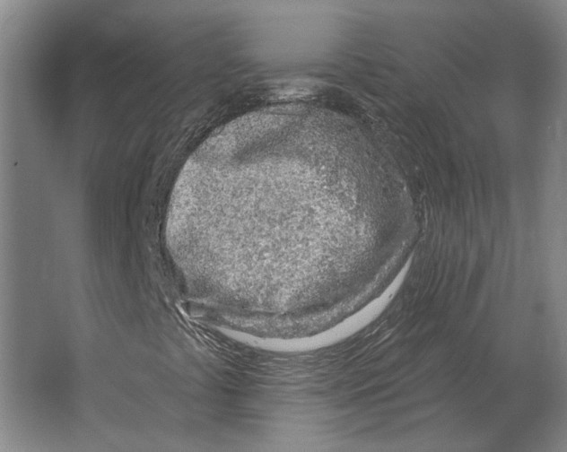 X0000063481441200602101754