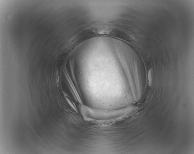 X0000063481443200602101754