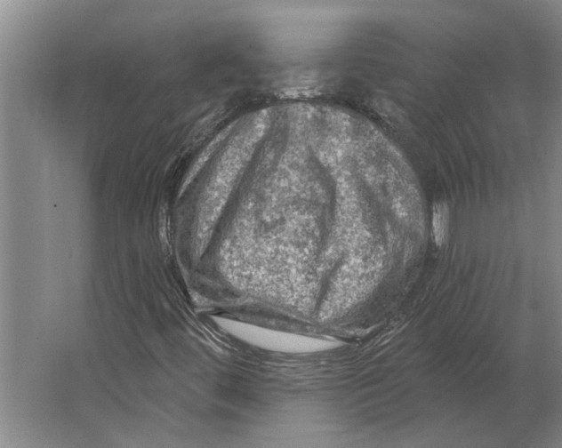 X0000063481444200602101754