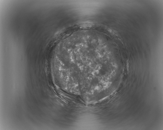 X0000063481445200602101754