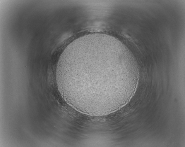 X0000063481446200602101754