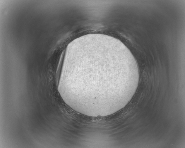 X0000063481447200602101754