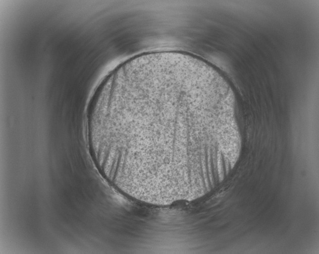X0000063481472200602101754
