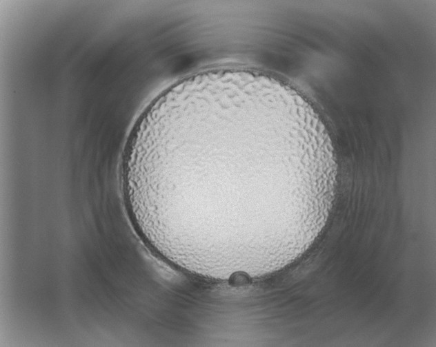 X0000063481474200602101753