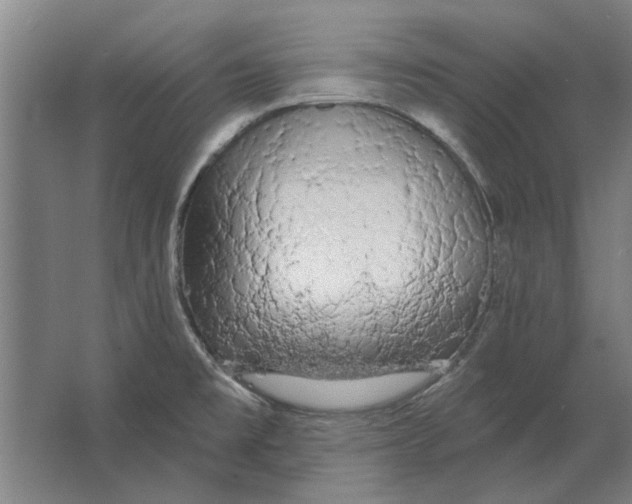 X0000063481477200602101753