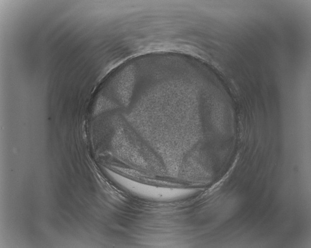 X0000063481497200602101753