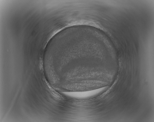 X0000063481505200602101753