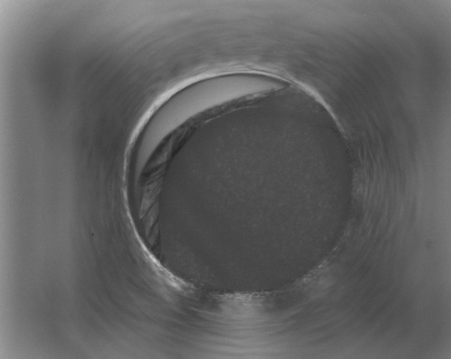 X0000063481508200602101753