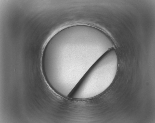 X0000063481512200602101753