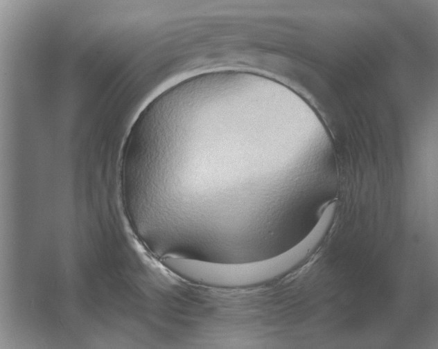 X0000063481534200602101753