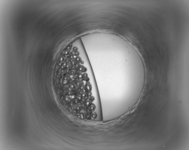 X0000063480001200602172036