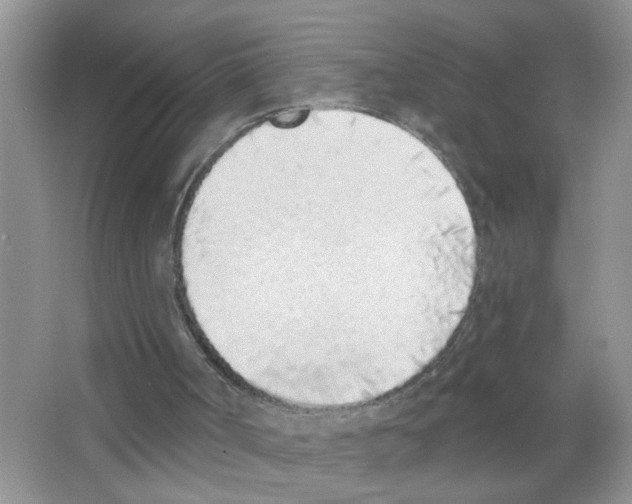 X0000063480002200602172036