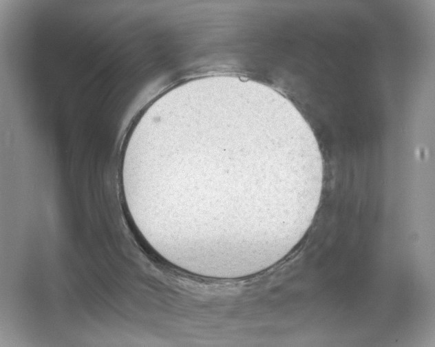X0000063480004200602172036