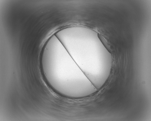 X0000063480005200602172036
