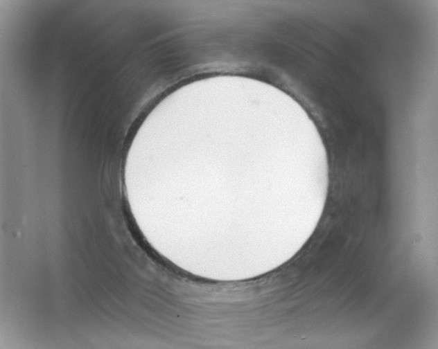 X0000063480011200602172036