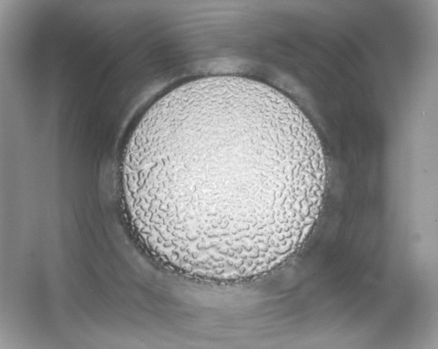 X0000063480012200602172036