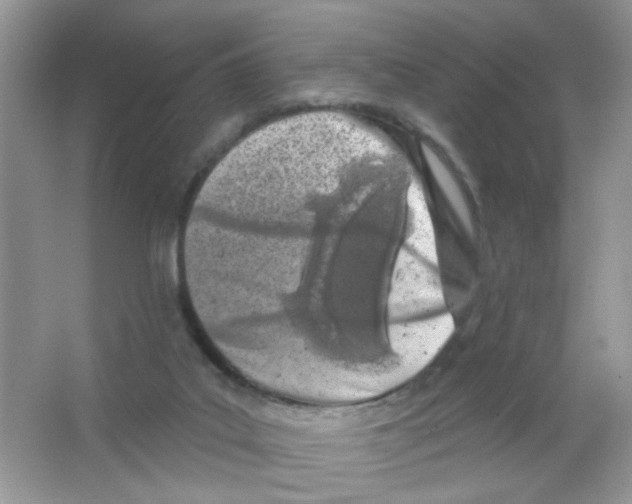 X0000063480019200602172036