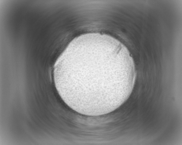 X0000063480022200602172036