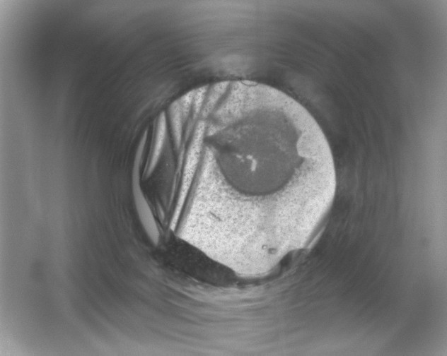 X0000063480027200602172036