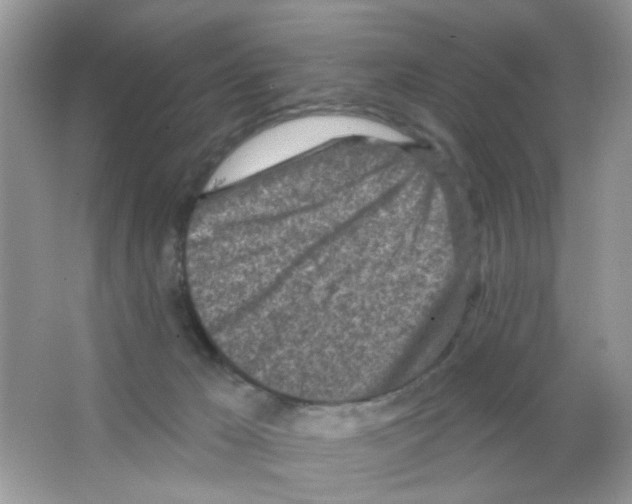 X0000063480029200602172036