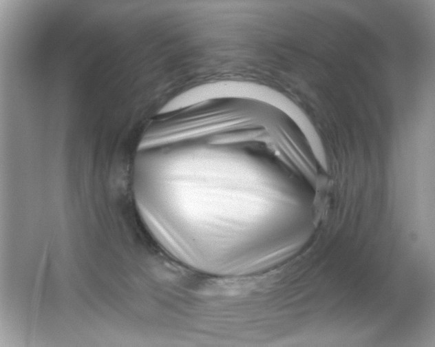 X0000063480033200602172036