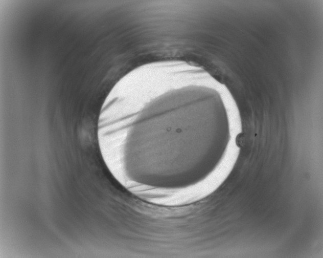 X0000063480035200602172036